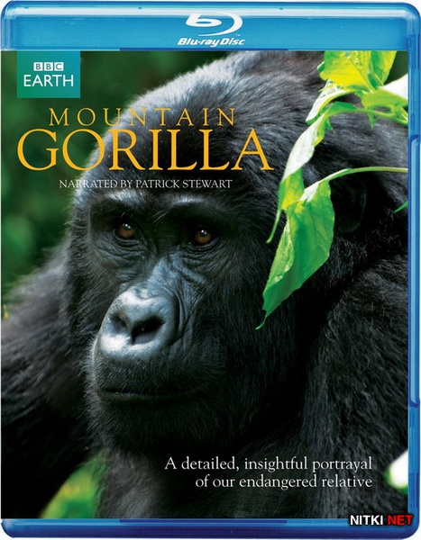   / BBC: Mountain Gorilla (2010) Blu-ray + BDRip 720p