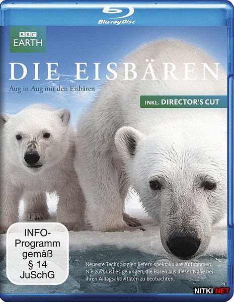 BBC:   -    / BBC: Polar Bear - Spy on the Ice (2010) Blu-ray + BDRip 1080p + AVC