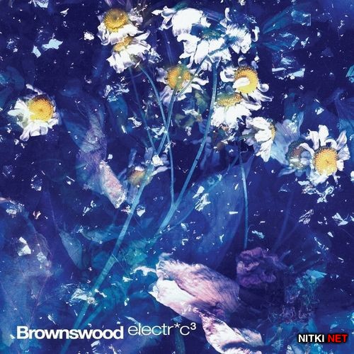 Brownswood Electric 3 (2012)