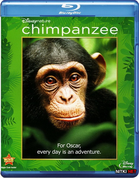  / Chimpanzee (2012) Blu-ray + BD Remux + BDRip 1080p / 720p / AVC