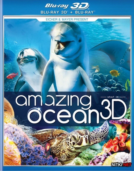   / Amazing Ocean (2012) Blu-ray [3D, 2D] + BD Remux + BDRip 1080p 3D / 720p / AVC