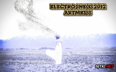 Electro Snegs (2012)