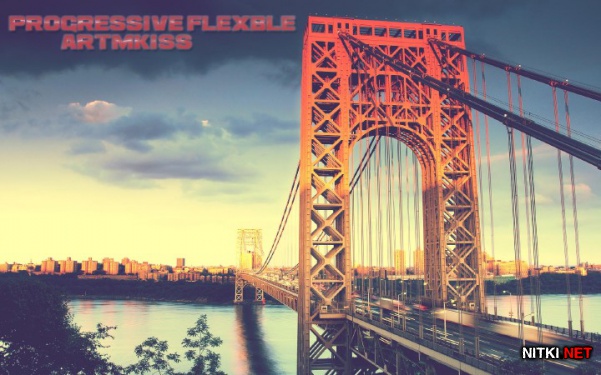 Progressive Flexble (2012)