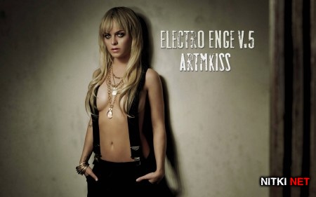 Electro Enge v.5 (2013)