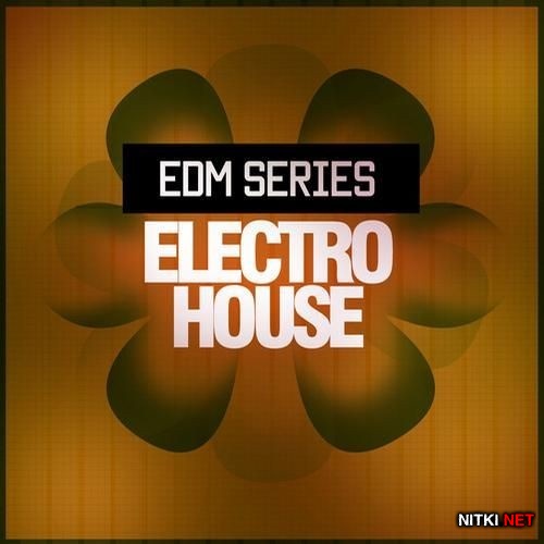 EDM Electro House (2013)