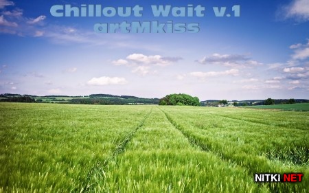 Chillout Wait v.1 (2013)