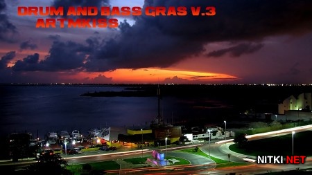 Drum and Bass Gras v.3 (2013)