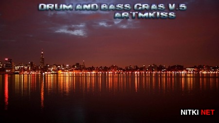 Drum and Bass Gras v.5 (2013)