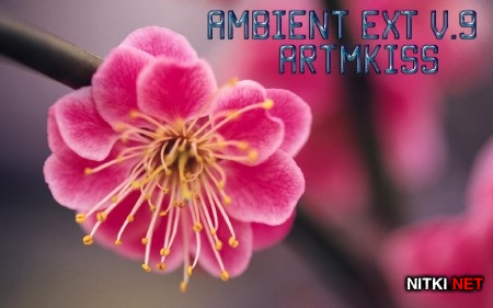 Ambient EXT v.9 (2014)
