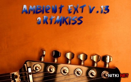 Ambient EXT v.13 (2014)
