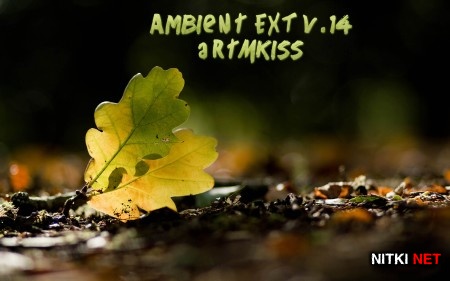 Ambient EXT v.14 (2014)