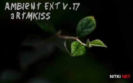 Ambient EXT v.17 (2014)