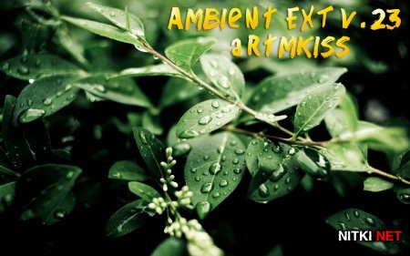 Ambient EXT v.23 (2014)