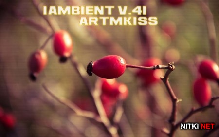 IAmbient v.41 (2014)