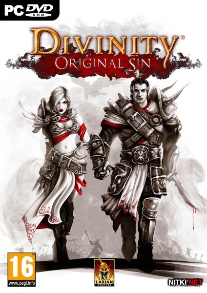 Divinity: Original Sin (2014/RUS/ENG/RePack R.G. Gamesmasters)