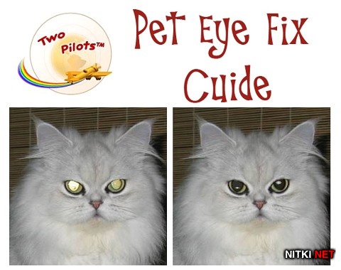 Pet Eye Fix Guide 2.2.2
