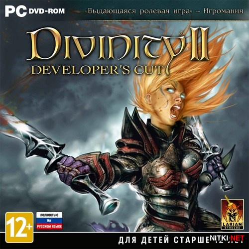 Divinity II: Developer's Cut (2012/RUS/ENG/RePack R.G. Механики)