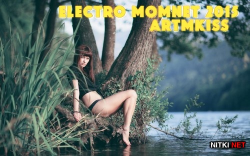 Electro Momnet (2015)