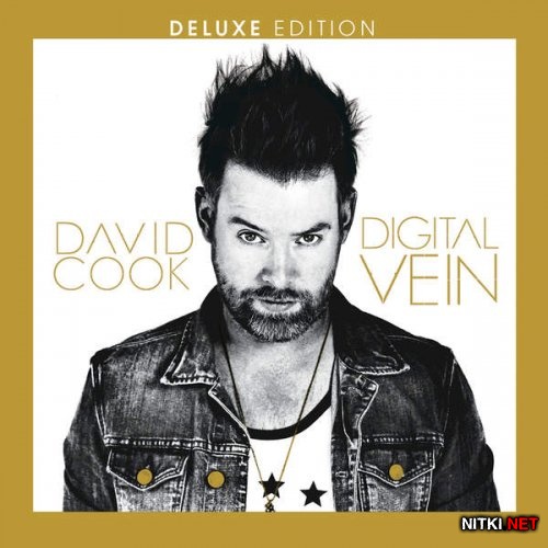 David Cook - Digital Vein (2015)