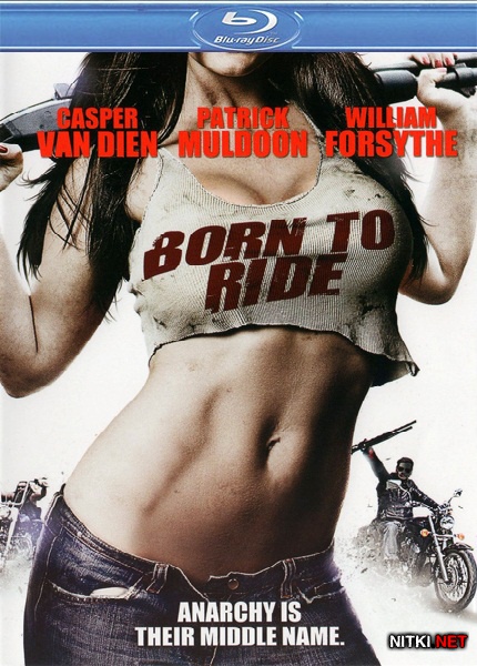   / Born to Ride (2011/HDRip/BDRip)