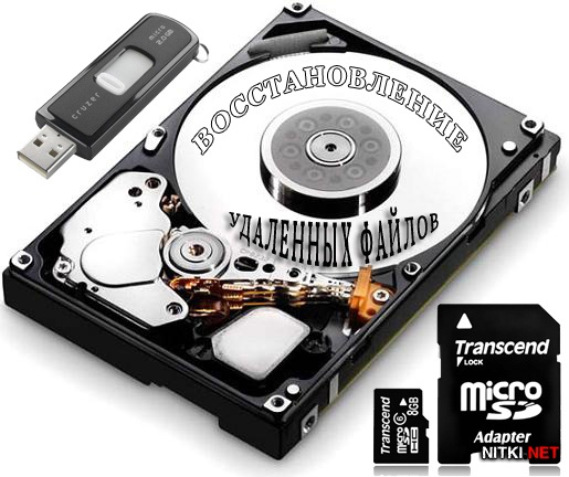 Raise Data Recovery for FAT / NTFS 5.4 Datecode 20.08.2012