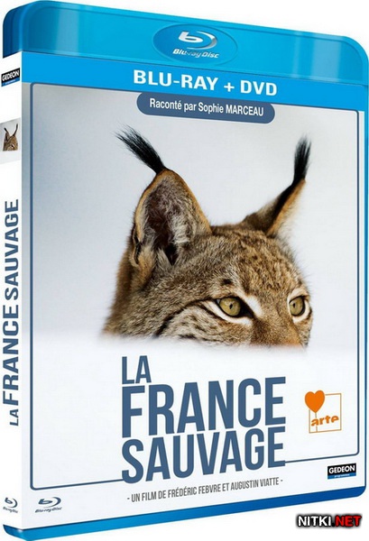   / La France Sauvage (2012) Blu-ray + BDRip 1080p / 720p + HDRip