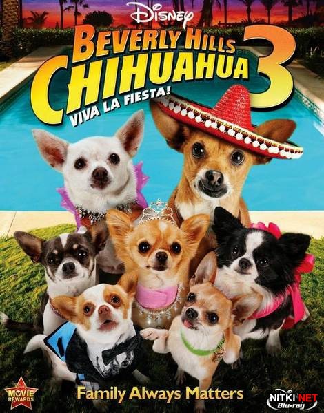   - 3 / Beverly Hills Chihuahua 3: Viva La Fiesta! (2012/DVD9/DVD5/DVDRip)