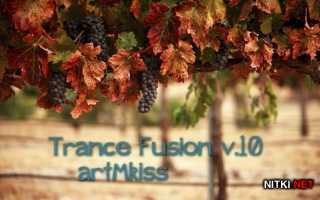 Trance Fusion v.10 (2013)