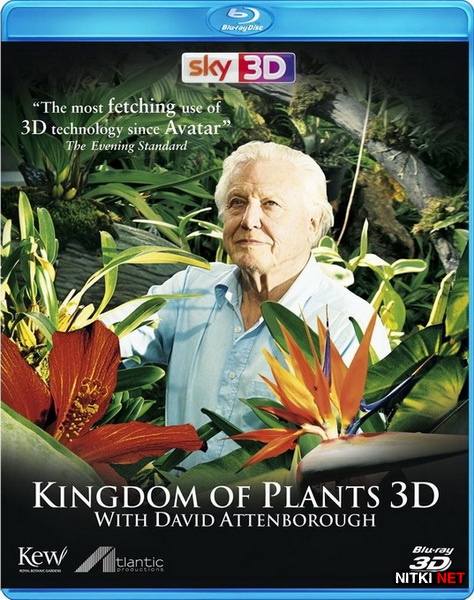   / Kingdom of Plants (2012) Blu-ray [3D, 2D] + BDRip 1080p [3D, 2D] / 720p + HDRip