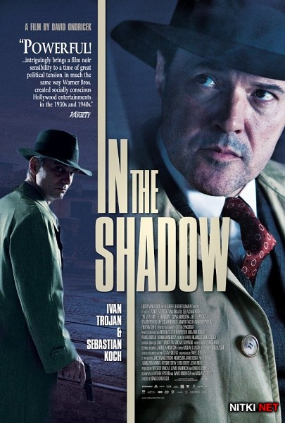   / In the Shadow / Ve stinu (2012) DVDRip