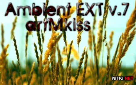 Ambient EXT v.7 (2014