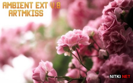 Ambient EXT v.8 (2014)