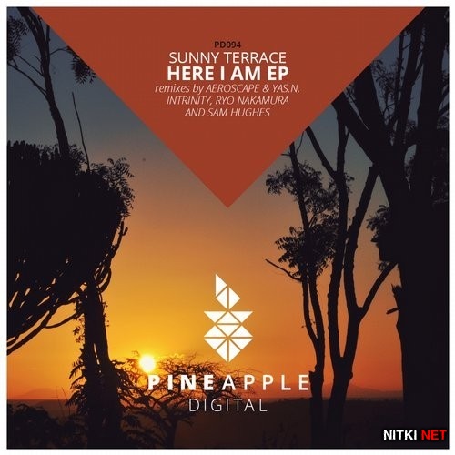 Sunny Terrace - Here I Am (2016)